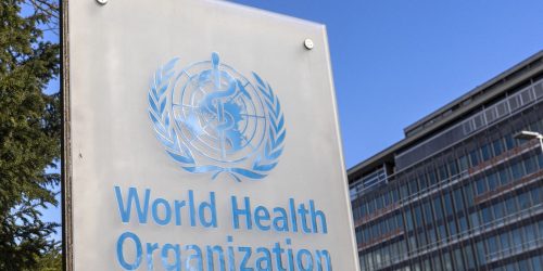 OMS alerta para surto de antraz na República Democrática do Congo Imagem referente a OMS alerta para surto de antraz na República Democrática do Congo