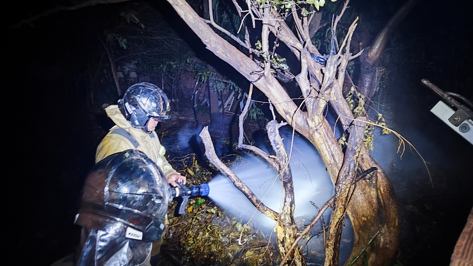 Morador coloca fogo em galhos e chamas assustam vizinhos no bairro Santa Cruz