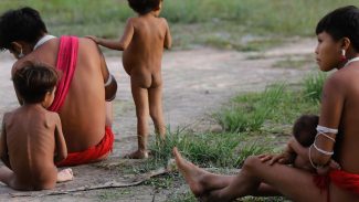 Número de óbitos no território Yanomami teve redução de 21% em 2024