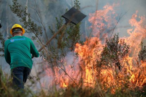 IAT alcança 1.485 voluntários com formação de nova turma de brigadistas Imagem referente a IAT alcança 1.485 voluntários com formação de nova turma de brigadistas