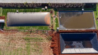 Decreto isenta de ICMS biogás, biometano e combustível sustentável de avião no Paraná