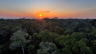 Começa hoje em Brasília a 5ª Conferência Nacional do Meio Ambiente