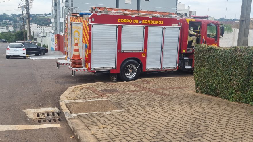 Gatinho entra pelo cano e desaparece no Cancelli