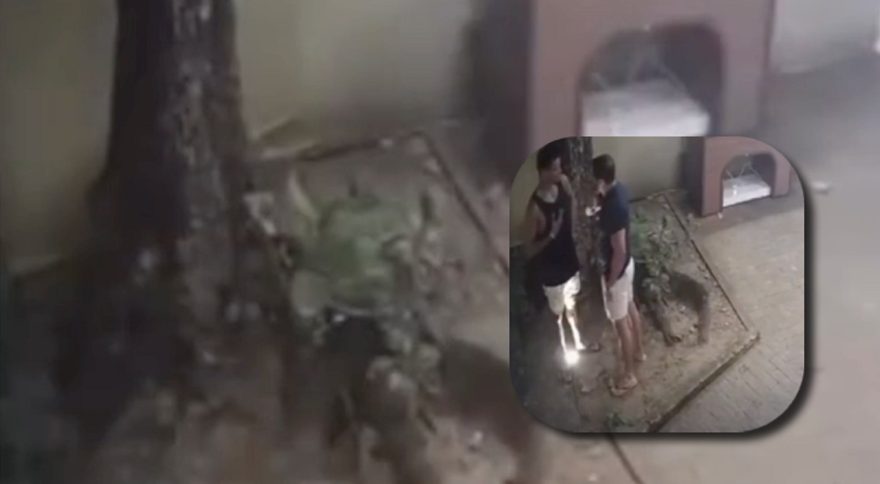 Vídeo mostra momento em que delegado atira em jovem por ciúmes da namorada