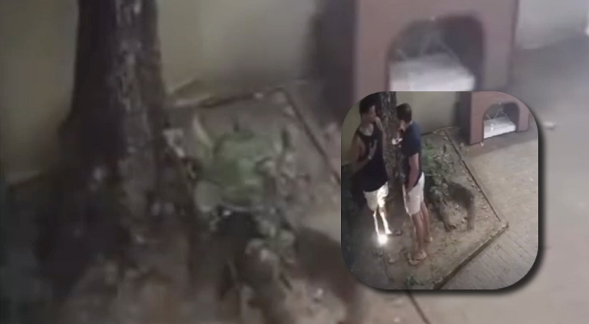 Vídeo mostra momento em que delegado atira em jovem por ciúmes da namorada