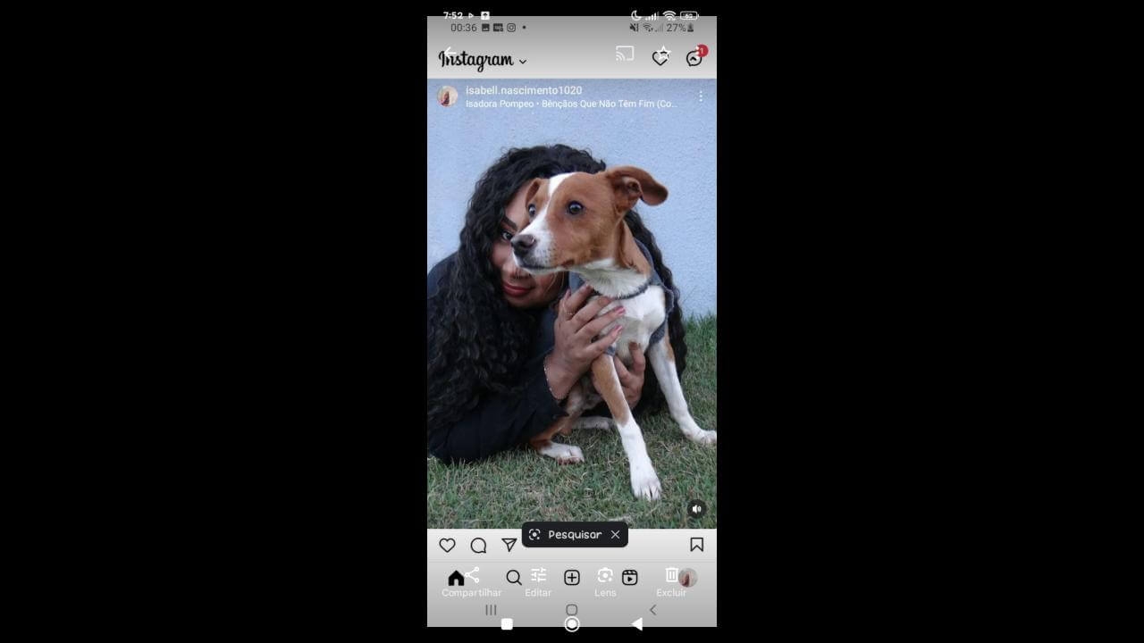 Cachorro Luciano desapareceu no bairro Floresta