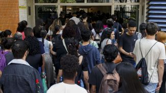 Senado aprova cota de 30% em concursos para negros e indígenas