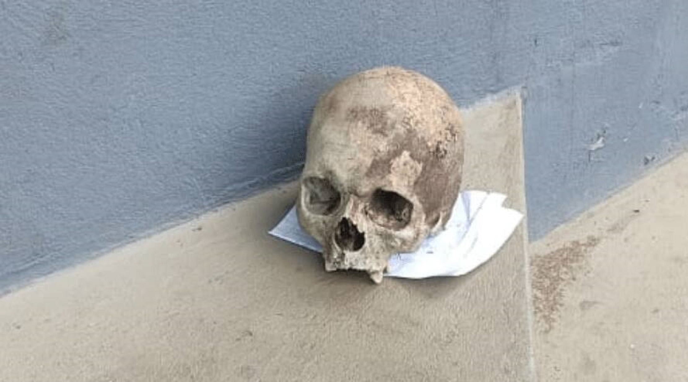 Crânio humano é encontrado com carta assinada e objetos na rodovia Crânio humano é encontrado com carta assinada e objetos na rodovia