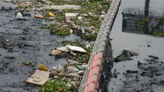 Baía de Guanabara recebe 3 milhões de litros de chorume por dia