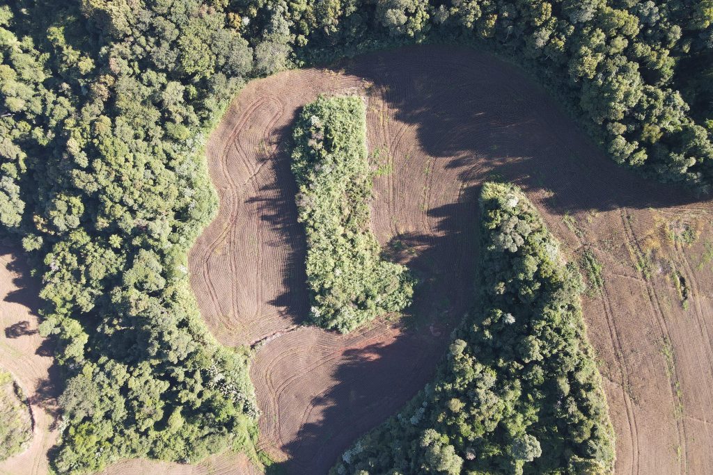 Desmatamento: IAT aplica mais de 2,2 milhões de reais em multas no sudoeste Desmatamento: IAT aplica mais de 2,2 milhões de reais em multas no sudoeste