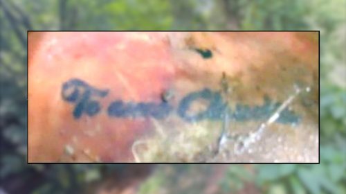 ‘Te amo Cláudia’: IML divulga foto de tatuagem para identificar cadáver encontrado às margens da lago Imagem referente a ‘Te amo Cláudia’: IML divulga foto de tatuagem para identificar cadáver encontrado às margens da lago