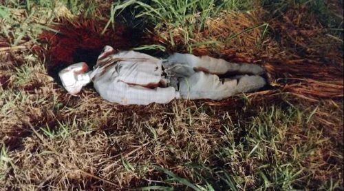 Samu é acionado para atender suposta vítima caída na rodovia, mas desfecho é inusitado Imagem referente a Samu é acionado para atender suposta vítima caída na rodovia, mas desfecho é inusitado