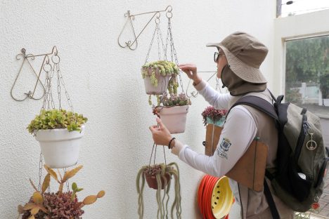 Cascavel em alerta: 3º LIRAa vai inspecionar quase 5 mil imóveis na guerra contra o Aedes Aegypti Imagem referente a Cascavel em alerta: 3º LIRAa vai inspecionar quase 5 mil imóveis na guerra contra o Aedes Aegypti