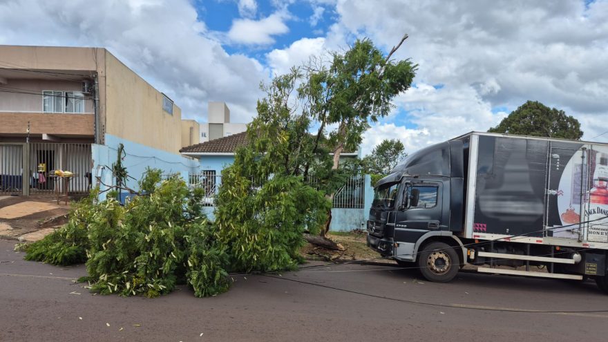Queda de árvore deixa moradores sem energia elétrica após poste ser danificado