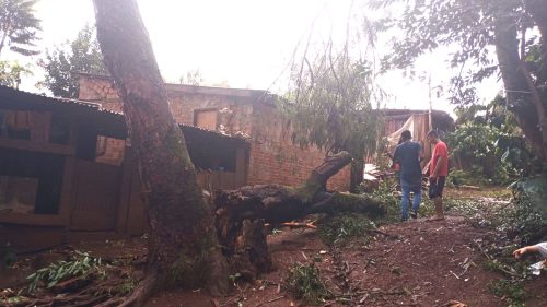 Temporal causa estragos em Cascavel: árvores caem e Bombeiros são acionados Imagem referente a Temporal causa estragos em Cascavel: árvores caem e Bombeiros são acionados