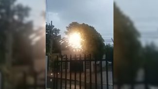Impressionante! Árvore fica em chamas após cair em poste elétrico