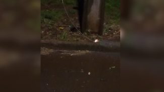 Vídeos mostram fio pegando fogo na mesma rua onde homem morreu eletrocutado