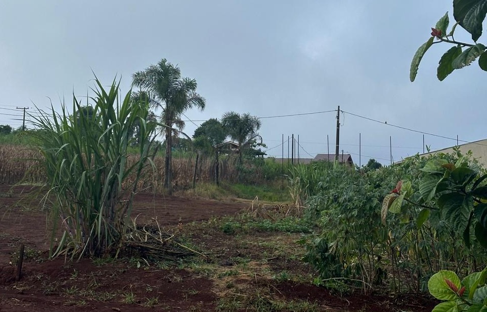 Moradores de Rio do Salto cobram solução para interrupção de energia que já dura 12 horas