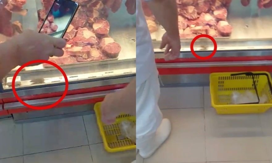 Consumidores em alerta: rato é filmado em açougue de supermercado