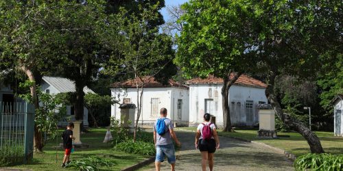 Programação no Mast lembra os 100 anos de visita de Eisntein ao Brasil Imagem referente a Programação no Mast lembra os 100 anos de visita de Eisntein ao Brasil