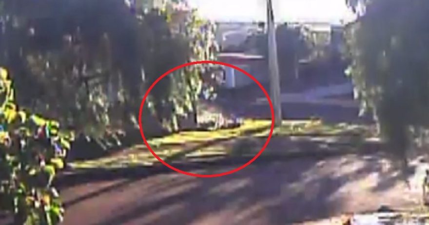 Câmera flagra motociclista colidindo contra muro no Morumbi