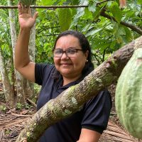 Imagem referente a Potencial para bioeconomia atrai investimentos na Amazônia