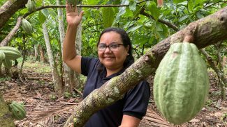 Potencial para bioeconomia atrai investimentos na Amazônia