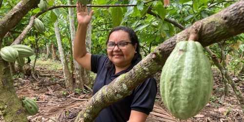 Potencial para bioeconomia atrai investimentos na Amazônia Imagem referente a Potencial para bioeconomia atrai investimentos na Amazônia