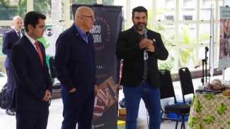 Adapar anuncia portaria inédita para regulamentar criação do Porco Moura no Paraná
