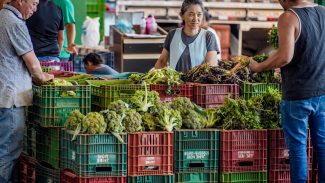 Anvisa inicia monitoramento de resíduos de agrotóxicos em alimentos