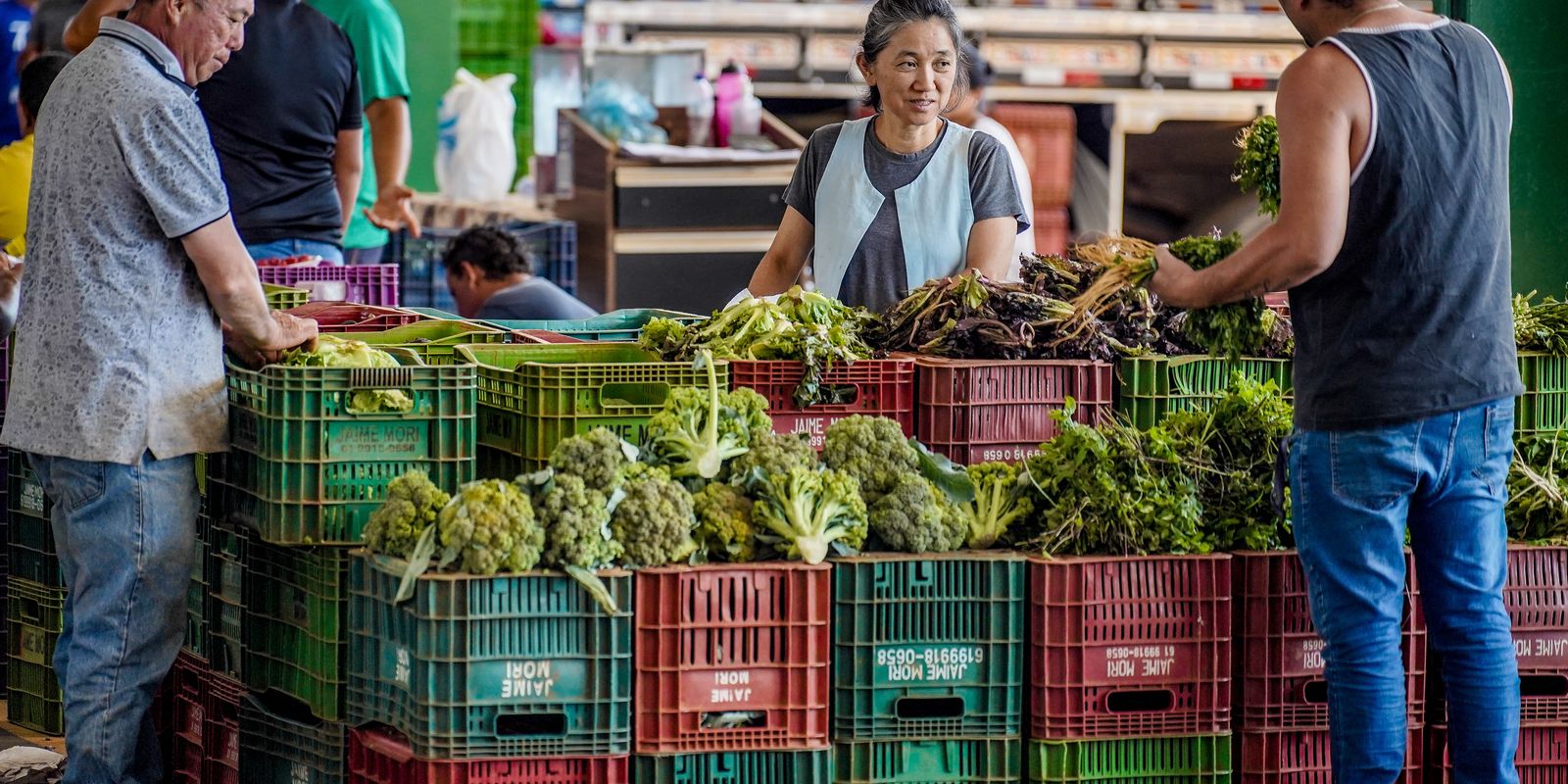 Anvisa inicia monitoramento de resíduos de agrotóxicos em alimentos