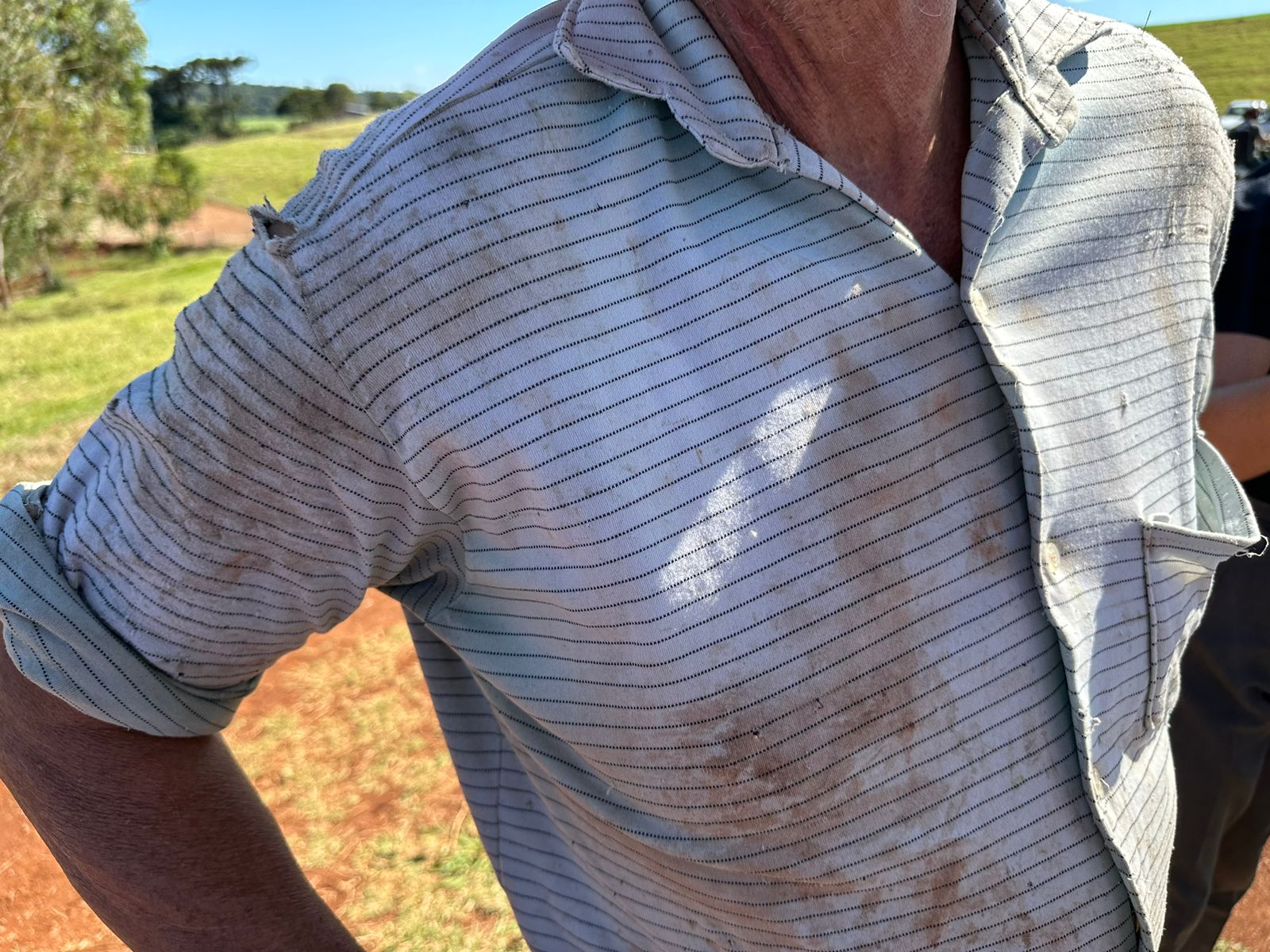 Agricultor tentou socorrer caminhão roubado: "Eu estava aqui junto com eles, eu podia estar morto"