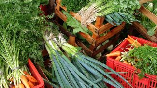 Custo de cesta básica ideal para uma pessoa chega a R$ 432 em abril