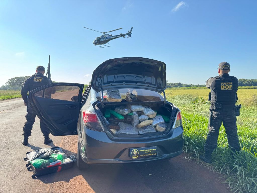 Operação conjunta entre DOF e Denarc do PR apreende mais de 300 quilos de drogas em Dourados
