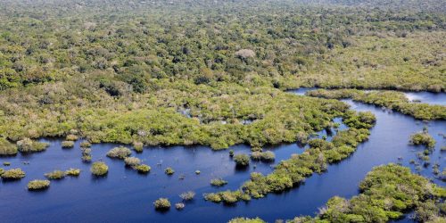 Quase todos os biomas registraram redução do desmatamento em 2024 Imagem referente a Quase todos os biomas registraram redução do desmatamento em 2024