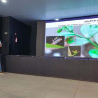 Imagem referente a Simpósio na ExpoIngá reforça união de esforços no combate ao greening
