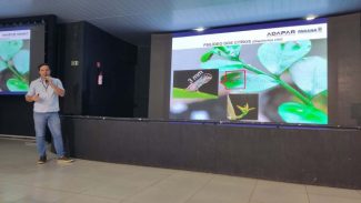 Simpósio na ExpoIngá reforça união de esforços no combate ao greening