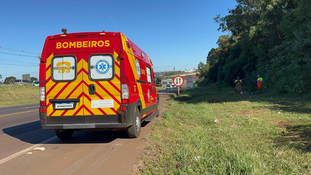 Trabalhadores são atacados por abelhas na marginal da BR-277, em Cascavel Trabalhadores são atacados por abelhas na marginal da BR-277, em Cascavel