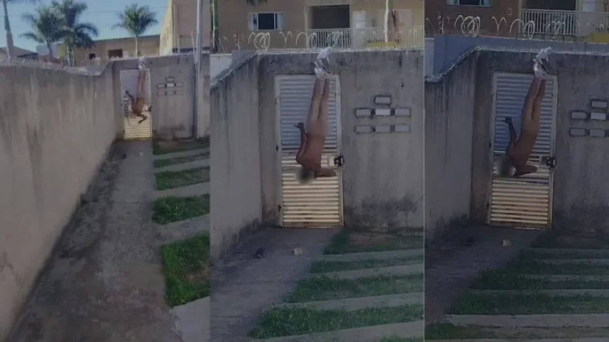 Homem acaba pendurado pelas calças após tentar invadir casa de ex