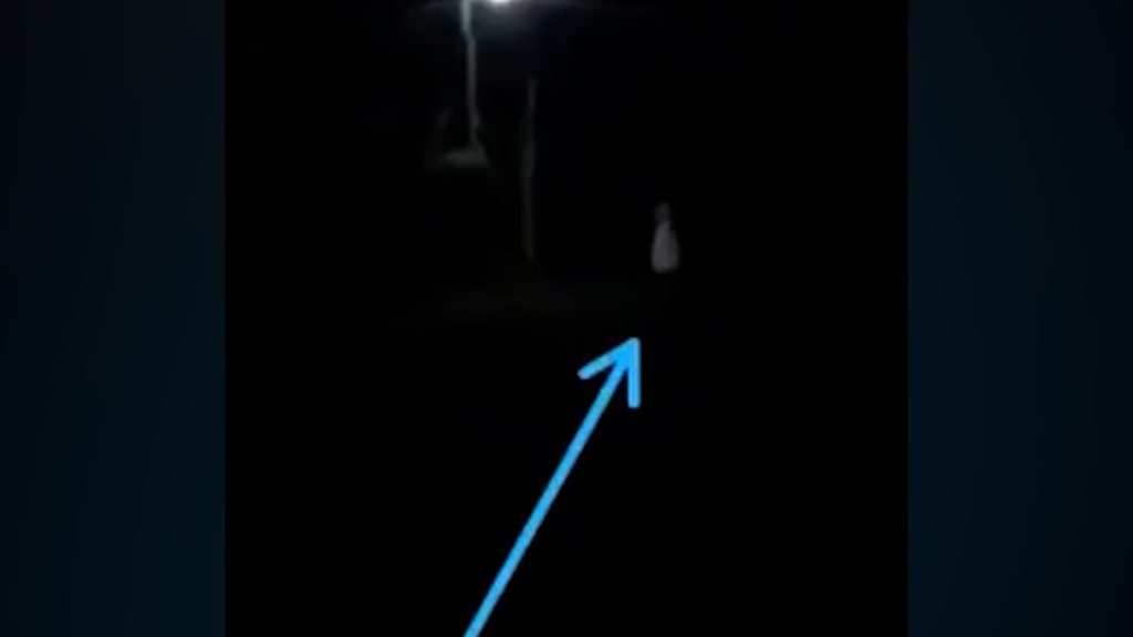 Visagem? Aparição misteriosa aterroriza interior de Vera Cruz, no Paraná; veja os vídeos  