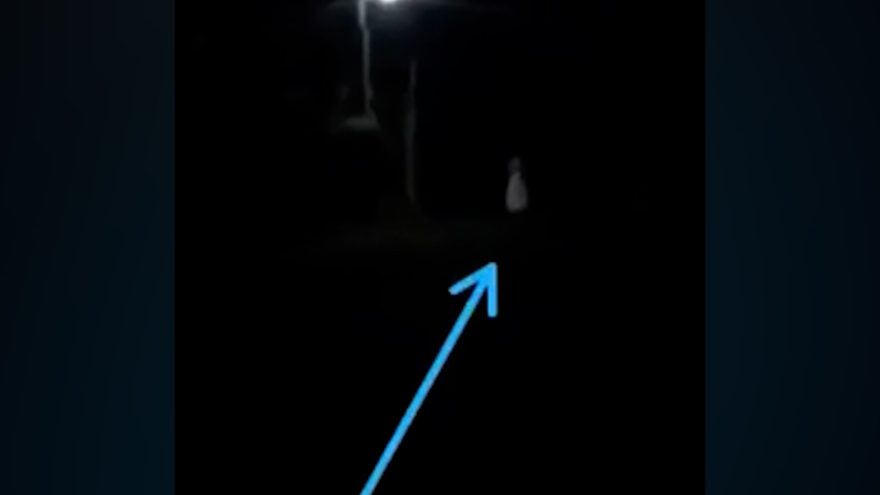 Visagem? Aparição misteriosa aterroriza interior de Vera Cruz, no Paraná; veja os vídeos  