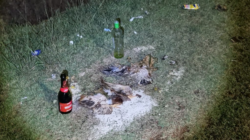 Cabeça de galo, cachaça e remédio: oferenda é deixada em marginal de rodovia em Cascavel