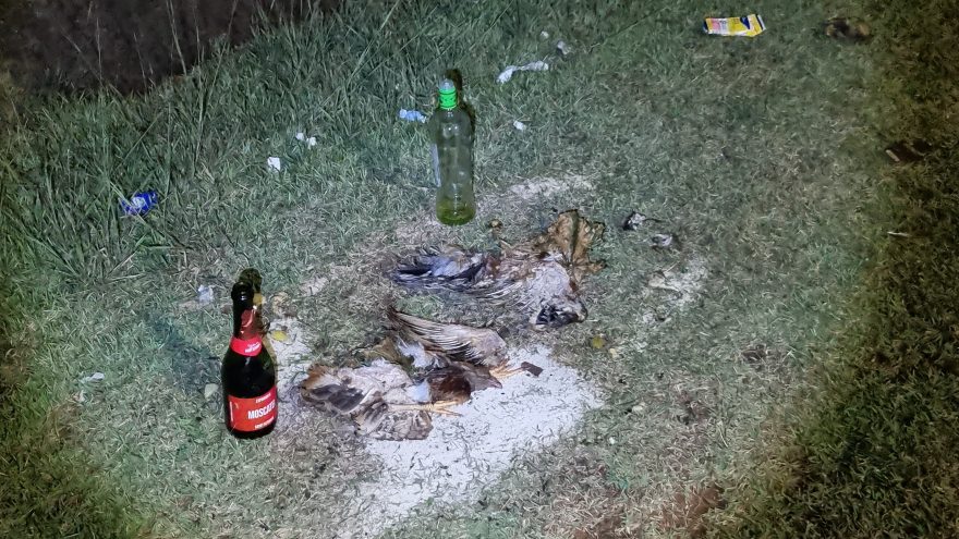 Cabeça de galo, cachaça e remédio: oferenda é deixada em marginal de rodovia em Cascavel