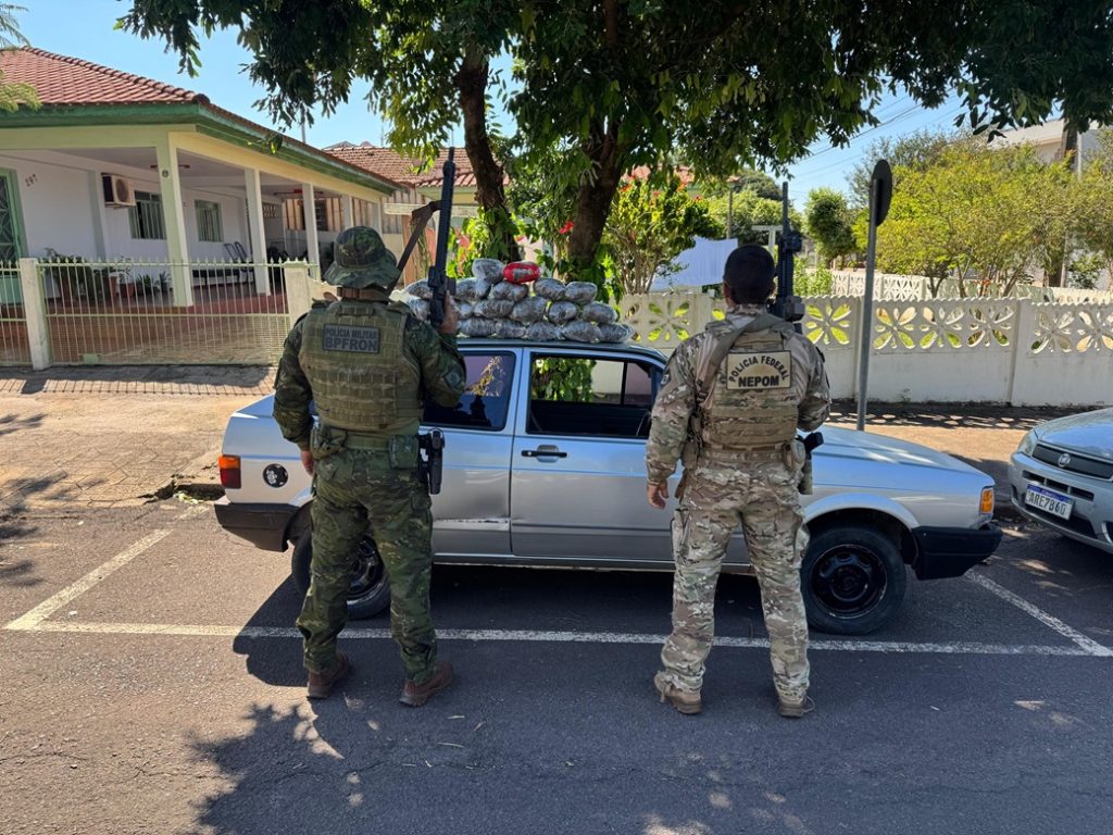 Polícia Federal e BPFron apreendem “Skunk” em Terra Roxa