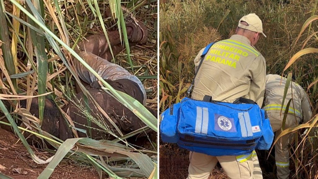 Vítima de agressão, homem é encontrado algemado em estrada rural Vítima de agressão, homem é encontrado algemado em estrada rural