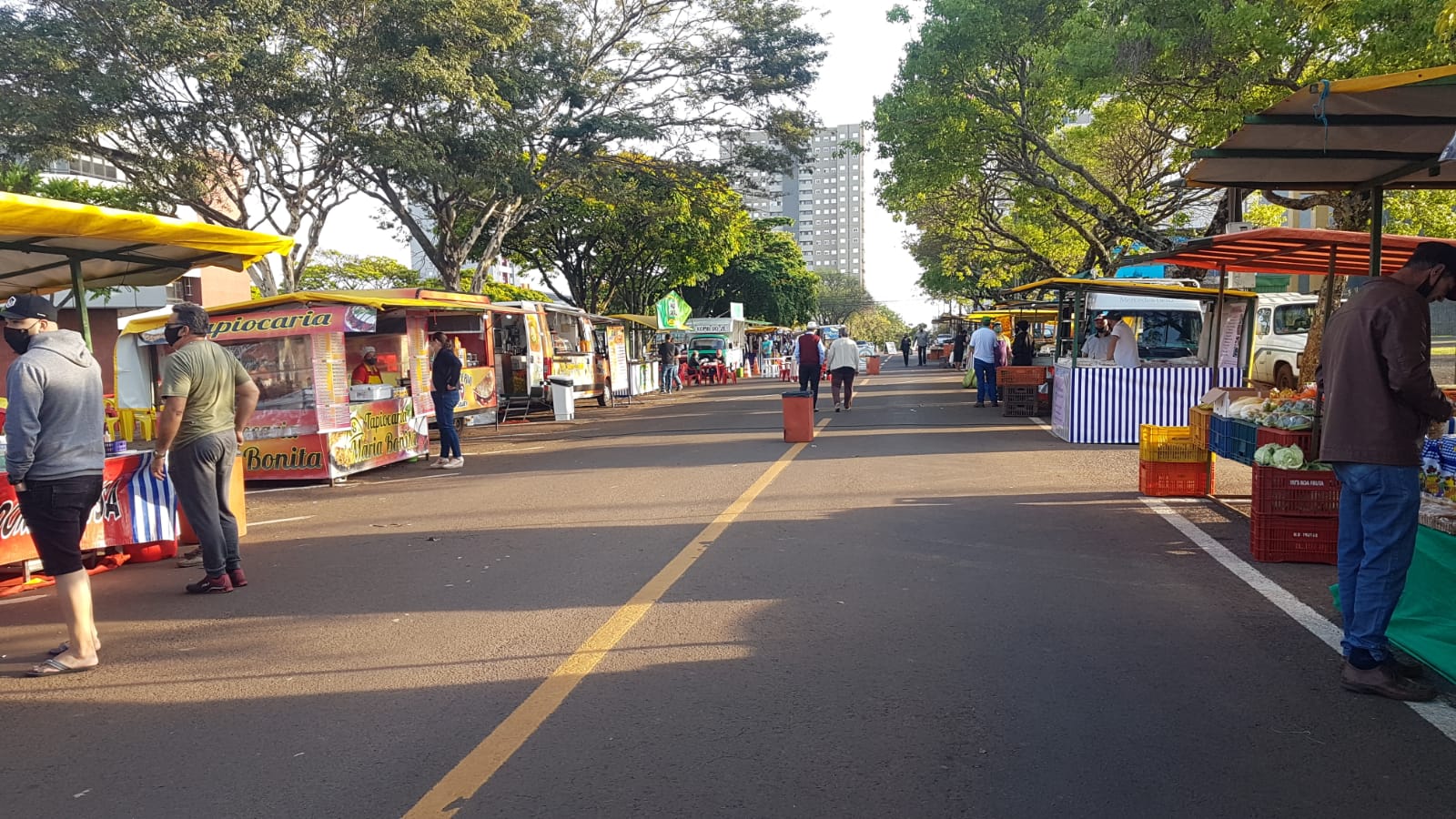 Licitação para Feira de Produtos Orgânicos é anunciada em Cascavel