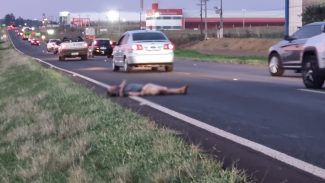 Fatalidade em Cascavel: Pedestre perde a vida em atropelamento na BR-277
