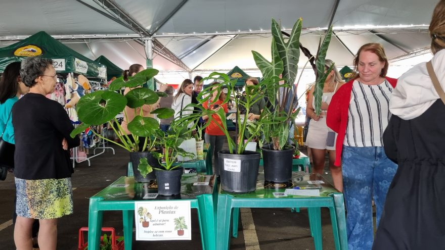 Troque amor em forma de planta neste domingo na Feira do Teatro!