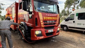 RS monta barreiras sanitárias em Montenegro para conter gripe aviária