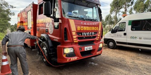 RS monta barreiras sanitárias em Montenegro para conter gripe aviária Imagem referente a RS monta barreiras sanitárias em Montenegro para conter gripe aviária